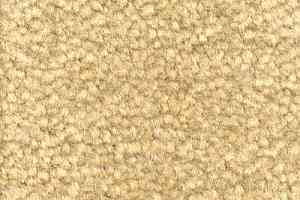 Ковролин Emphatic Beaulieu of America 56155 фото  | FLOORDEALER