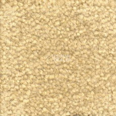 Ковролин Emphatic Beaulieu of America 56155 фото 1 | FLOORDEALER