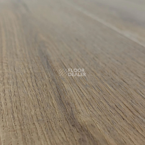 Bonkeel Line 340 фото 2 | FLOORDEALER