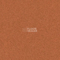 Линолеум Tarkett Primo Plus 305 фото 1 | FLOORDEALER