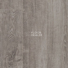 Parador Basic Plus 400 V 1426530 Дуб Светло-серый фото 2 | FLOORDEALER