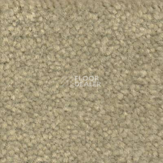 Ковролин Emphatic Beaulieu of America 56322 фото 1 | FLOORDEALER