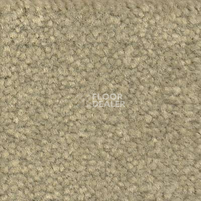 Ковролин Emphatic Beaulieu of America 56322 фото 1 | FLOORDEALER