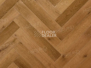 Norland Herringbone Elegant 8мм LF303-13 Дуб Помона фото 2 | FLOORDEALER
