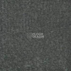 Ковролин Shaw Bradberry 30 787 фото 1 | FLOORDEALER