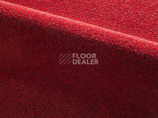 Ковролин Radici Verona 2106 фото 1 | FLOORDEALER