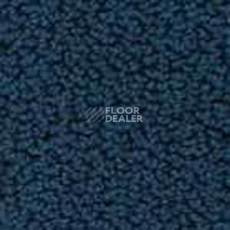 Ковролин Infloor Color 53 355 фото 1 | FLOORDEALER
