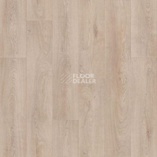 Линолеум Tarkett Activa Latur 1 фото 1 | FLOORDEALER