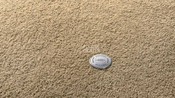 Ковролин Vorwerk Superior 1065/Viola Vorwerk 7g75 фото 1 | FLOORDEALER