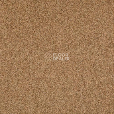 Ковровая плитка Betap Transmit 69 фото 1 | FLOORDEALER