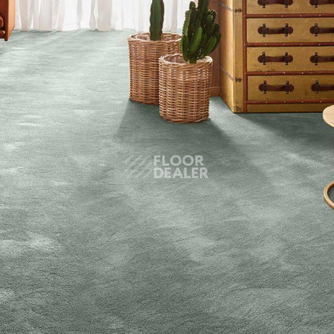 Vorwerk Exclusive 1060 Safira 4g67 фото 2 | FLOORDEALER