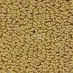 Ковролин Infloor Color 53 260 фото 1 | FLOORDEALER