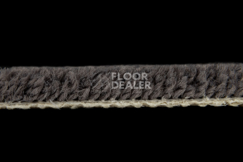Balsan Les Best S 992 фото 3 | FLOORDEALER