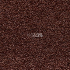 Ковролин Shaw Cashmere IV 603 фото 1 | FLOORDEALER
