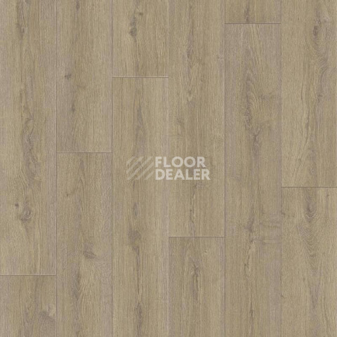 Линолеум Tarkett Praktika NUBIA_1 фото 1 | FLOORDEALER