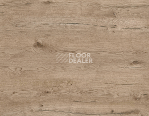 Kronotex Robusto 12мм d80722 Дуб Пустыни Серый фото 3 | FLOORDEALER