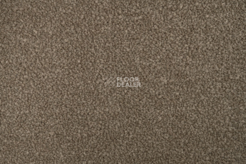 Standard Carpets Mountain View 4398 фото 2 | FLOORDEALER