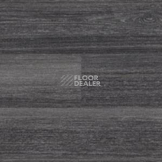 Линолеум Polyflor Expona Wood 6169 фото 1 | FLOORDEALER