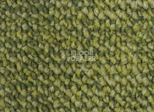 Desso Desert 7184 фото 2 | FLOORDEALER