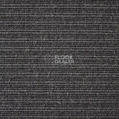 Ковролин Carpet Concept Eco Wool 596015 фото 1 | FLOORDEALER