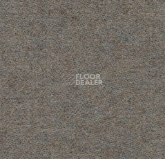 Ковролин Forbo Flotex wonderlab 07 900273 Sandstone фото 1 | FLOORDEALER
