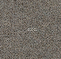 Ковролин Forbo Flotex wonderlab 07 900273 Sandstone фото 1 | FLOORDEALER