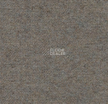 Ковролин Forbo Flotex wonderlab 07 900273 Sandstone фото 1 | FLOORDEALER