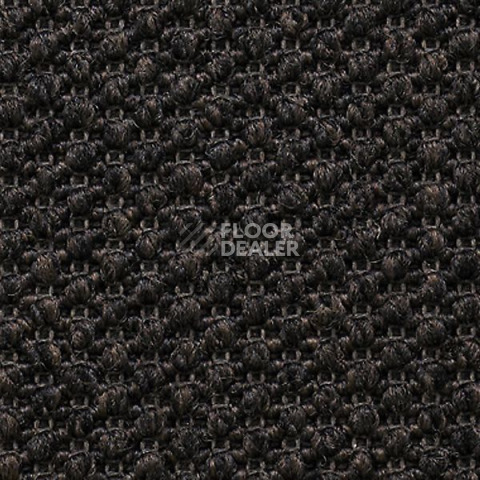 Ковролин Carpet Concept Eco Tre 681018 фото 1 | FLOORDEALER