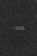 Циновки Aw Invictus Levinus Levinus 99 a фото 1 | FLOORDEALER