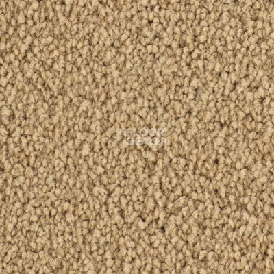 Ковролин Balsan Sublime 630 фото 1 | FLOORDEALER