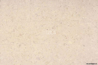 Eco Cork MADEIRA WHITE фото 2 | FLOORDEALER