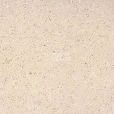 Eco Cork MADEIRA WHITE фото 2 | FLOORDEALER