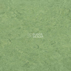 Линолеум Gerflor Marmorette DLW 2.5mm 0100 Frog Green фото 1 | FLOORDEALER