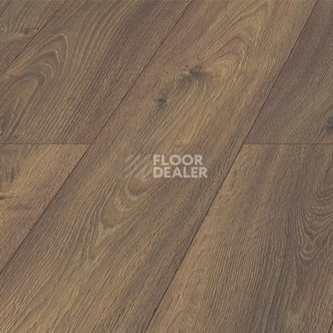 Kronopol Platinium Testa AQUA BLOCK 8mm Kronopol Platinium Testa Aqua Block 24h Дуб Уриил D3104 фото 2 | FLOORDEALER