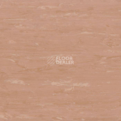 Линолеум Tarkett Horizon M 005 фото 1 | FLOORDEALER