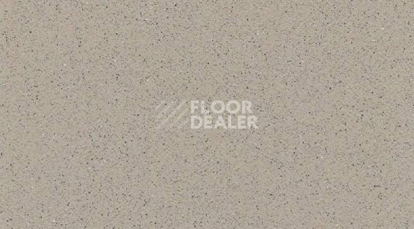 Линолеум Gerflor Tarasafe Plus 7386_Savana фото 1 | FLOORDEALER