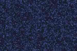Ковролин Balsan Serenite 190 фото  | FLOORDEALER