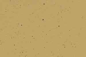 Линолеум Forbo Marmoleum Solid Cocoa 3587 curcuma фото  | FLOORDEALER