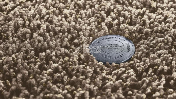 Ковролин Vorwerk Superior 1041 Vorwerk 8j579 фото 1 | FLOORDEALER