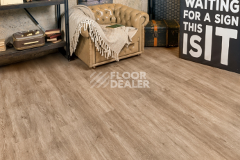 Alpine Floor Grand Sequoia Light 3.5мм Карите ECO11-901 фото 4 | FLOORDEALER