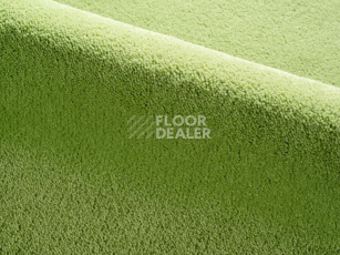 Ковролин Radici Dolce Vita 1301 фото 1 | FLOORDEALER