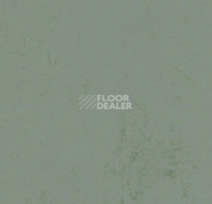 Линолеум Forbo Marmoleum Solid Concrete 3751/375135 tundra фото 1 | FLOORDEALER