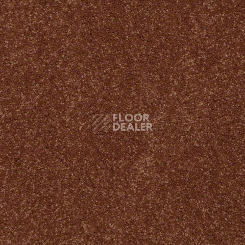 Ковролин Shaw Design Texture Platinum 620 фото 1 | FLOORDEALER