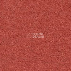 Ковролин Radici Montecarlo 55 фото 1 | FLOORDEALER