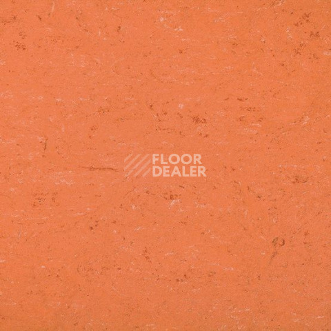 Линолеум Gerflor Colorette 0016 Deep Orange фото 1 | FLOORDEALER