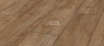 Kronotex Exquisit Plus d4983 Дуб Восточный Натуральный фото 1 | FLOORDEALER