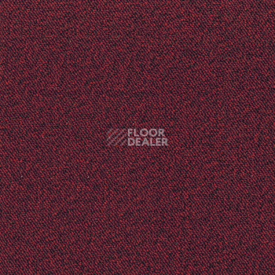 Ковролин Associated Weavers Maxima 12 фото 1 | FLOORDEALER