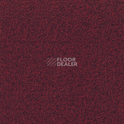 Ковролин Associated Weavers Maxima 12 фото 1 | FLOORDEALER