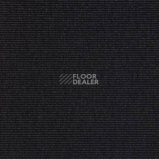 Ковролин Carpet Concept Eco 1 6601 фото 1 | FLOORDEALER