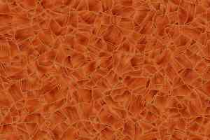 Линолеум Grabo Terrana Top Extra 4199-254 фото  | FLOORDEALER